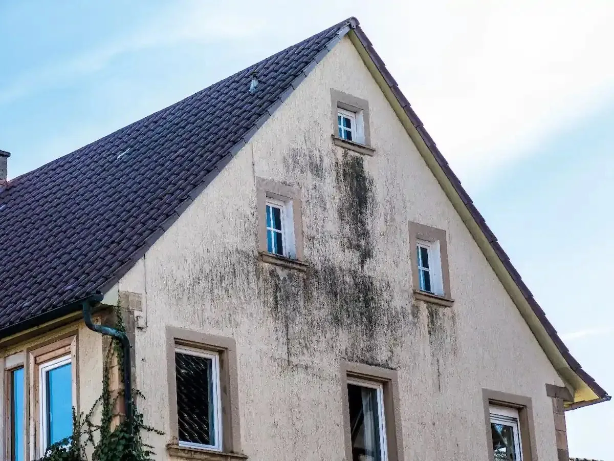 Crépi de façade dans le Gard