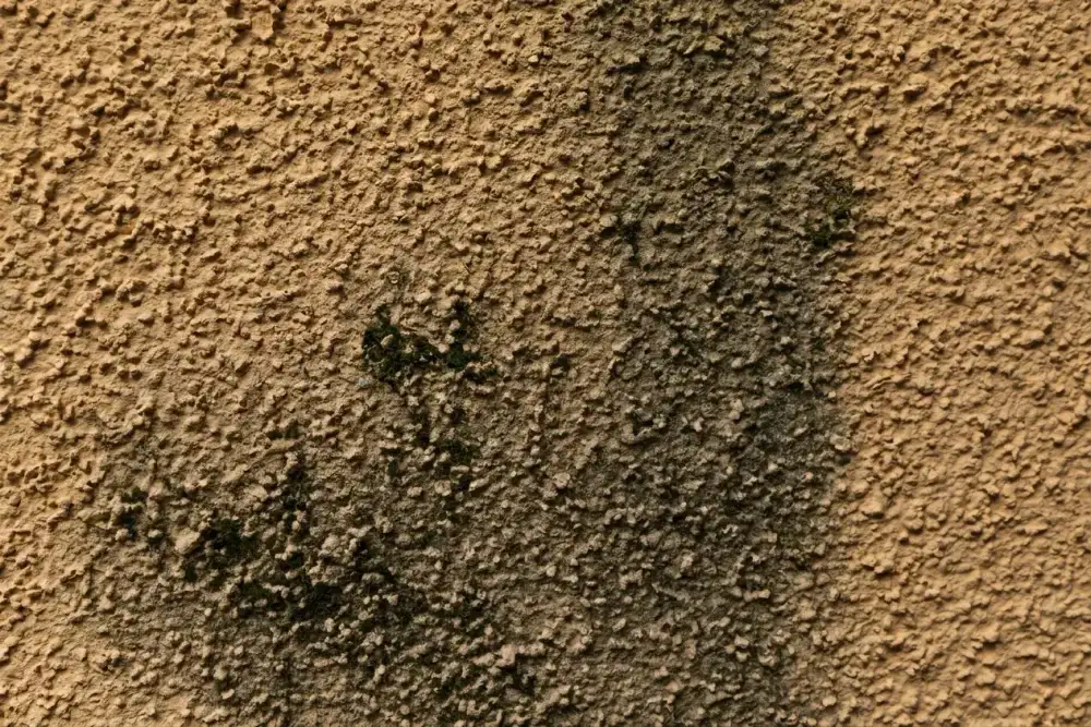 Crépi de façade dans le Gard